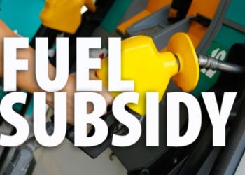 Reps Say Subsidy Regime Fraudulent, To Probe $10bn Revenue Leakage