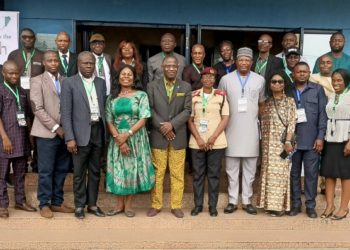 Nigeria’s Automotive Industry In Precarious Situation – Jaiyesimi