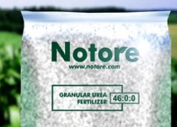 Notore: Turnaround Maintenance of Plants Boosts Revenue, Profit in H1 2022
