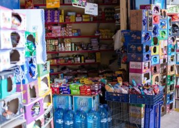 Corner Shops Faring Well Against Big Box Stores In Emerging Markets – Research
