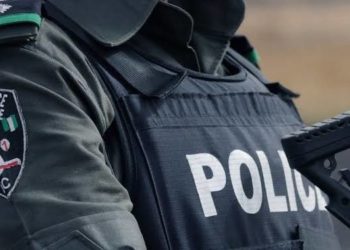 Police Raises Concerns Over Rise In Electricity Assets Vandalism