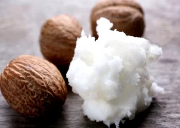 Why Nigeria Must Retain Position In The Global Shea Industry