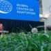 Global Center On Adaptation Collaborates With Invesco On Climate Adaptation