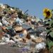 Firms Partner To Tackle Global Waste Problem