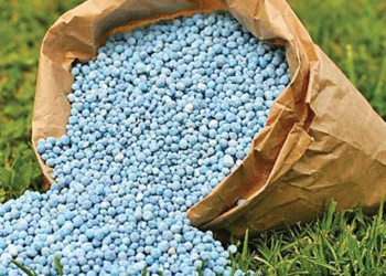 How OCP Africa Is Championing Nigeria’s Fertiliser Self-sufficiency