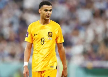 698d419d-df63-4d91-8410-f03c7f2e8063