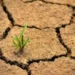 Desertification-jpg