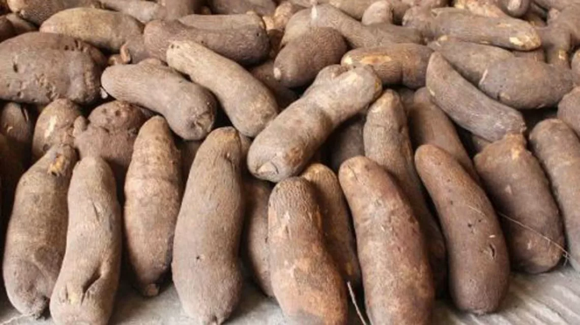 yam