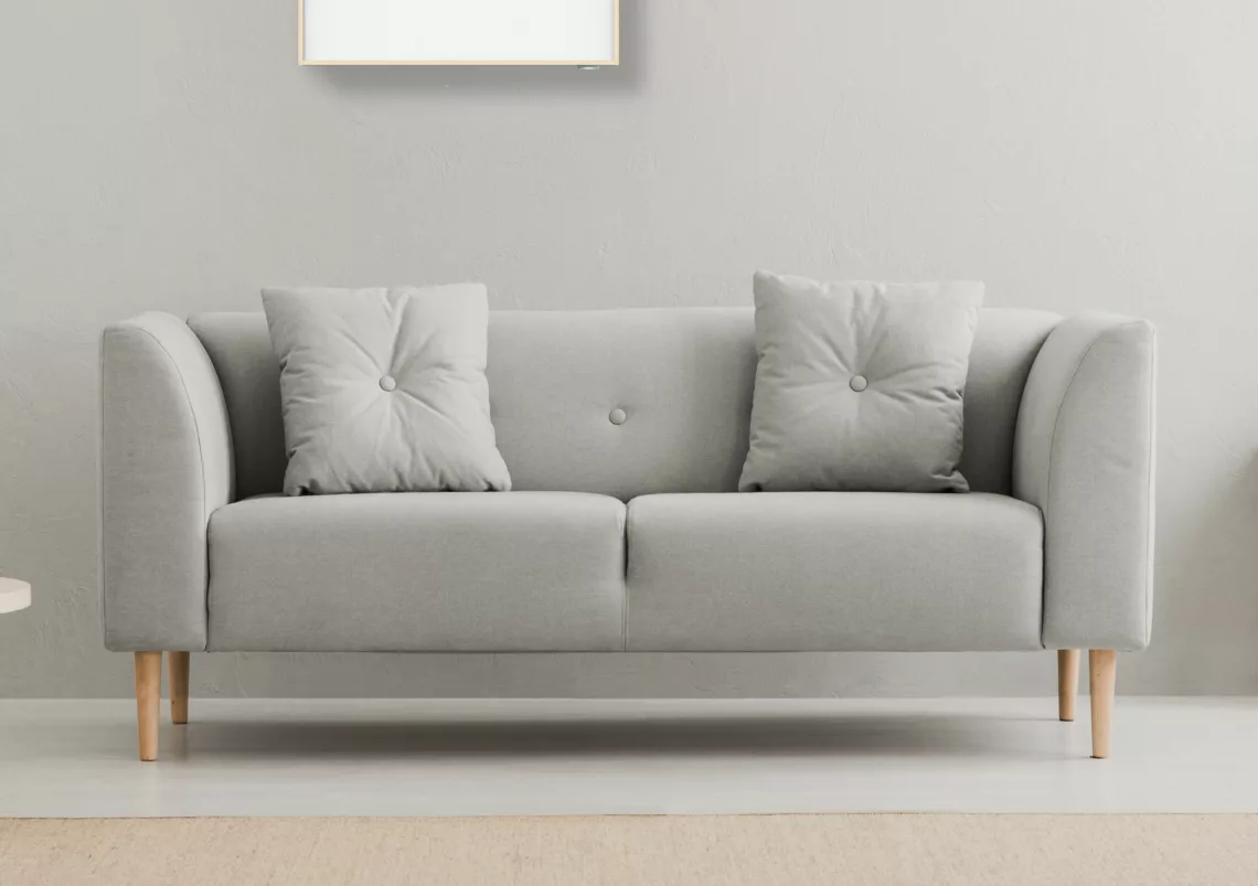 Green plant on a scandinavian cabinet with drawer and a cozy couch with pillows in a gray, simple living room interior with place for a coffee table. Real photo.