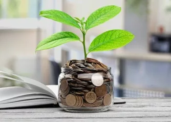 Savings, Investments, And Economic Growth Amidst Inflationary Pressures