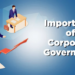 Importance-of-Corporate-Governance-jpg