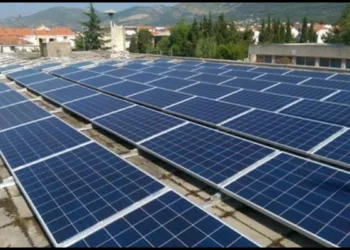 Renewable-Energy-Association-of-Nigeria