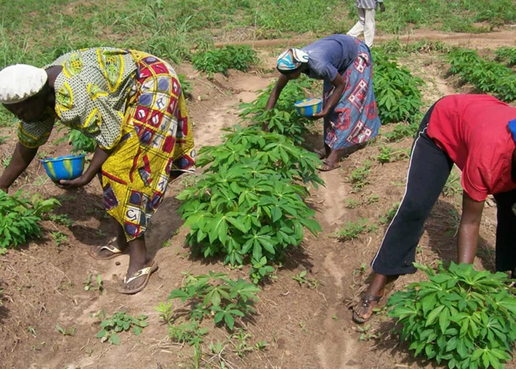 agriculture-women