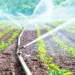 Addressing Water Crisis For Sustainable Agriculture