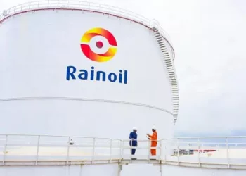 Energy Security: Rainoil Harps On Optimal Utilisation Of Gas