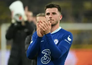 Influencer Admits Stalking Mount