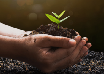 Why Africa Needs To Develop Sustainable Strategies