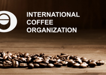 Assessing Nigeria’s Membership Of The ICO