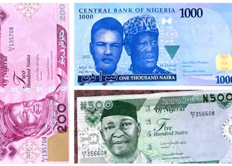 New-Naira-Notes-1