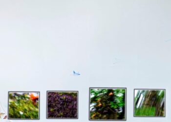 Landscape After Description: Titilayo  Olufemi’s Fragments Of Passing Light