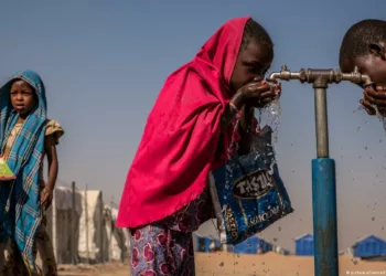 Nigeria’s Enduring Role In International Day Of Family Remittances