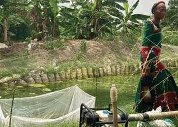 medium_nigeria_story