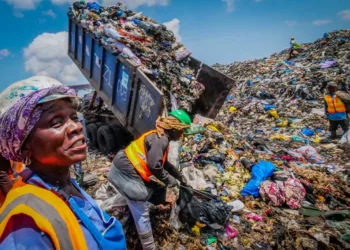 Waste Pickers Association Announces New General Secretary