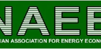 Experts Advocate Sustainable Energy Infrastructure Investment