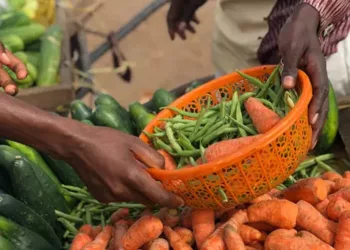 Transforming Nigeria’s Food Systems: Lessons From UN Food Systems Summit