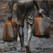 Crude-oil-theft