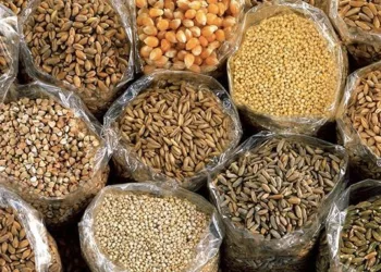 Reviving Nigeria’s Dead Seed Varieties Through Crop Genotype Monitoring