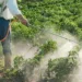 Why Nigeria Needs To Harmonise Its Fertiliser, Agrochemicals Standards