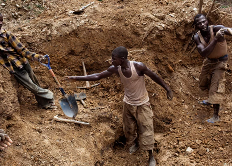 Illegal Miners