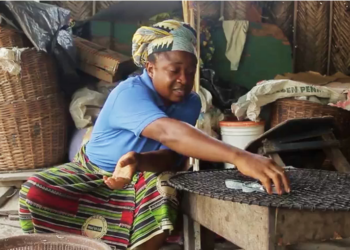 The Coastal Serenade