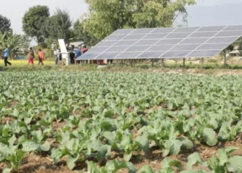 Experts Advocate Collaborative Climate-Smart Agric Budgeting