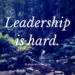 Leadership Stability In A Turbulent World