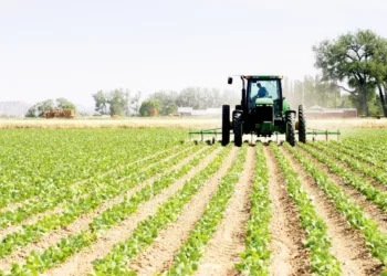 Enhancing Nigeria’s Economic Prosperity Through Increased Productivity