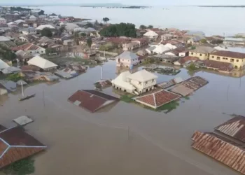 NEC Recommends Establishment Of National Flood Management Council