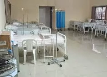 Aig-Imoukhuede Foundation, PSHAN, Edo Government Partner On  Healthcare Initiative