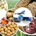 France Initiates Food For Nations Platform To Boost Nigerian Agribusiness Trade