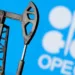 Analysts Speculate OPEC’s Further Oil Cut
