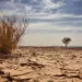 Nigeria Risks Losing $100bn Annually From Climate Change Impact-Report