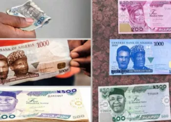 CBN Directs Banks to Issue, Accept Old and Redesigned Naira Notes