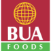 BUA To Maintain N3,500 Cement Price from January 2024