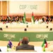 COP28: Analyst Challenges Nigerian Delegation Size