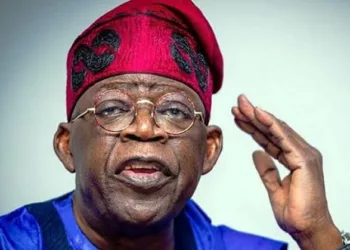 Tinubu’s Administration: Top 5 Economic Deals Of 2023