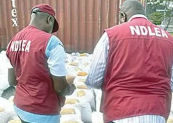 NDLEA-1