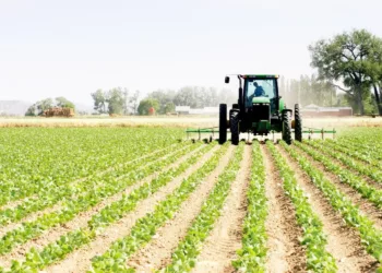 Productivity: Nigeria’s Springboard To Prosperity