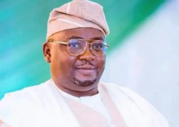 Power Minister Proposes Law for Natural Gas Payments in Naira