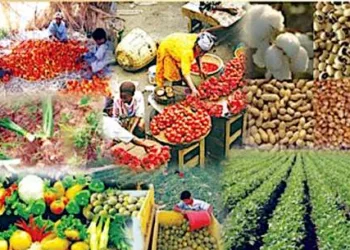 A Call For Economic Diversification